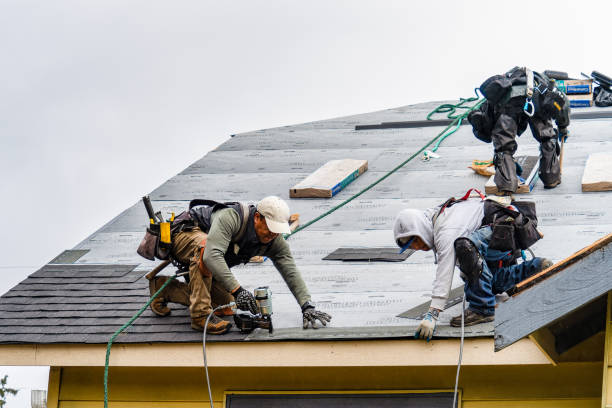 Professional Emergency Roof Repair technician working in Monticello, IA